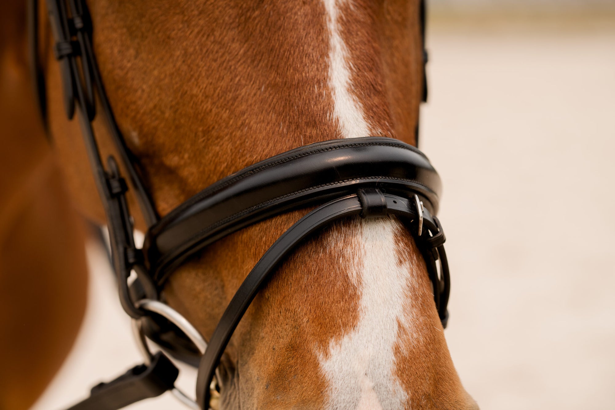 KL Select Elevation Bridle