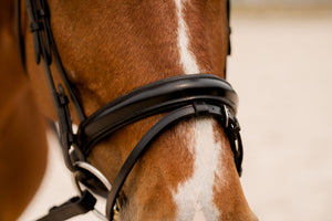 KL Select Elevation Bridle