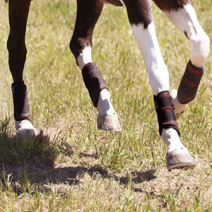 Majyk Equipe Color Elite XC Boot with ARTi-LAGE Technology (Front)