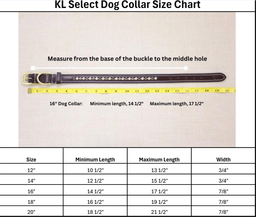 KL Select Impulsion Dog Collar