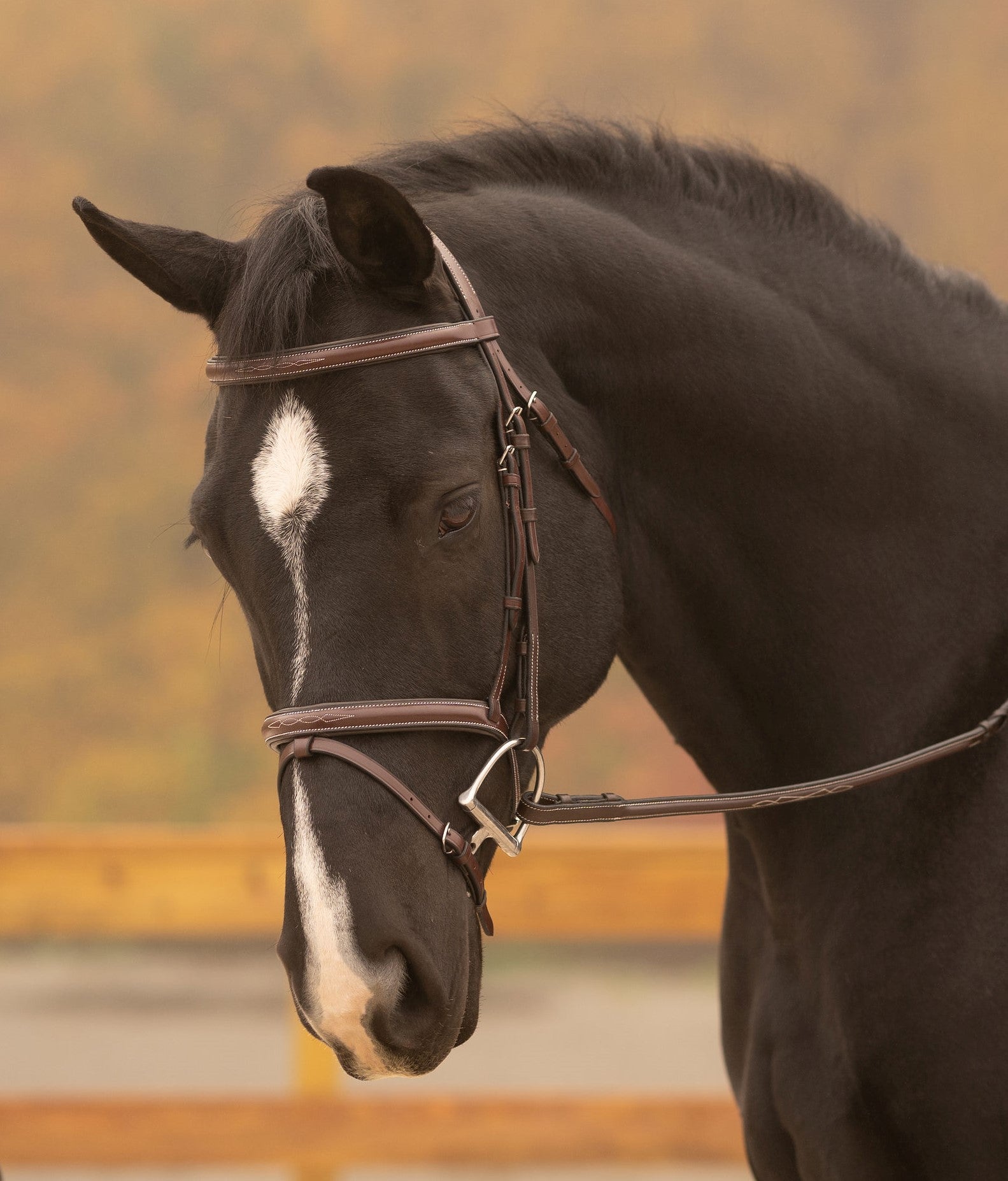 KL Select Red Barn Sovereign Hunter Bridle