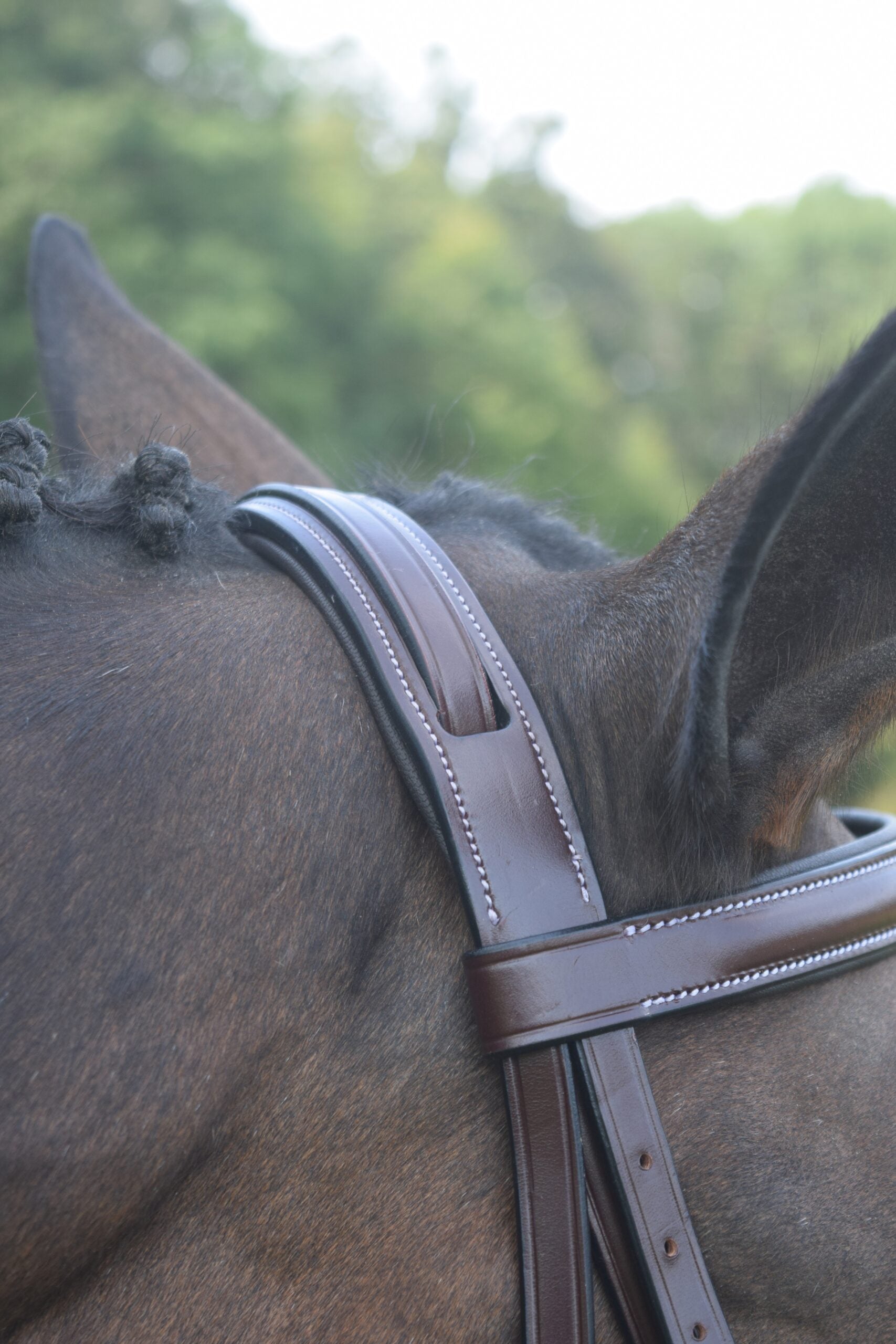 KL Select Red Barn Spirit Hunter Bridle