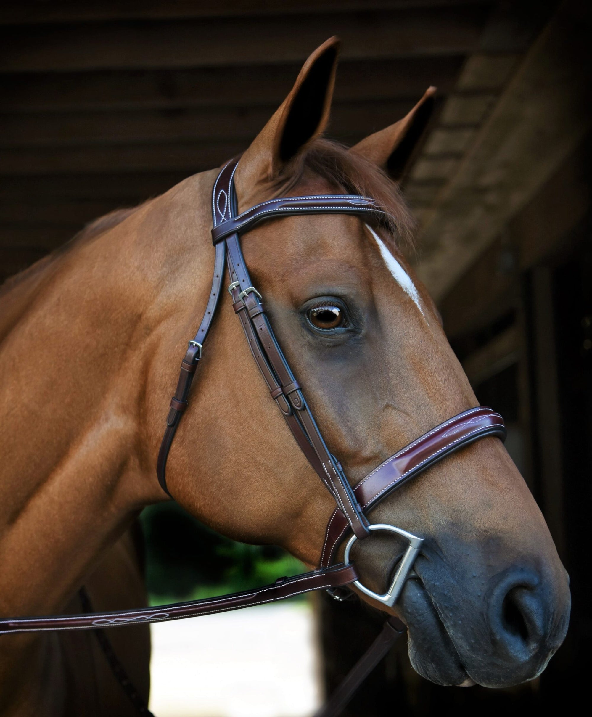 KL Select Tuscany Bridle