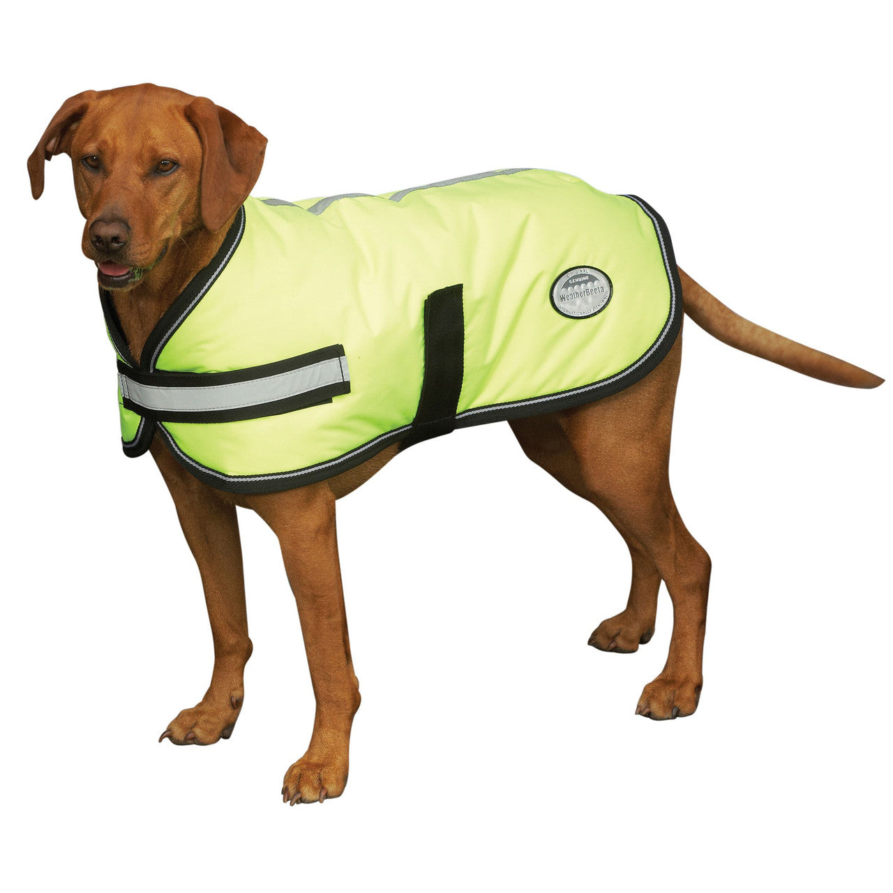 Weatherbeeta Comfitec Reflective Parka 300D Dog Coat YELLOW- CLOSEOUT