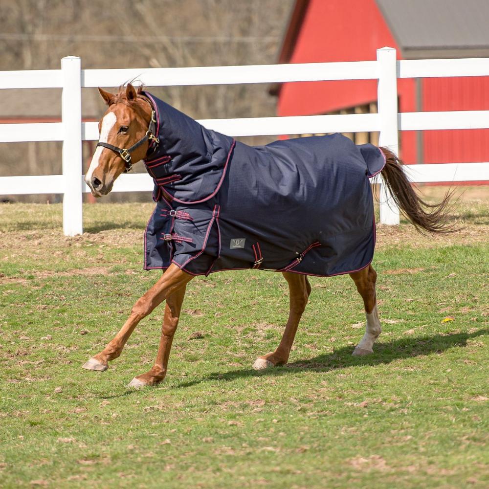 TuffRider 1200 D Comfy Winter Medium Weight Turnout Blanket W/ Detachable Neck 200 GSM