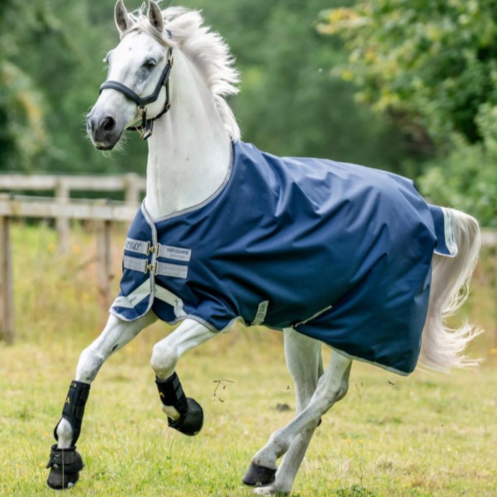 Horseware Amigo Bravo 12 Original Turnout (50g Light)