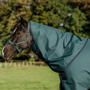 Horseware Amigo Ripstop 900D Turnout Hood - The Carousel Horse 
