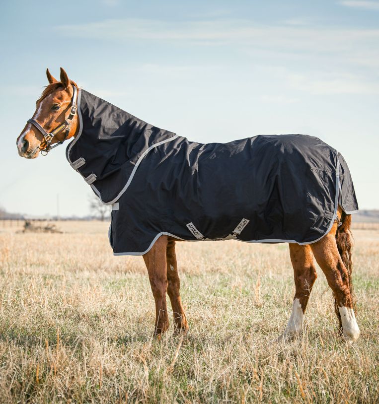 Horseware Amigo Stock Horse Plus 0g CLOSEOUT