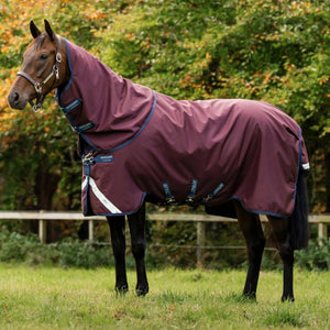 Horseware Amigo Bravo 12 Plus Turnout Lite 0g - The Carousel Horse