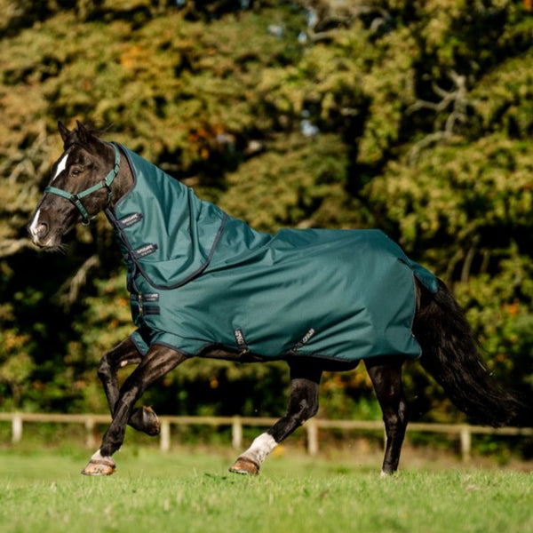 Horseware Amigo® Ripstop 900D Plus Turnout 200g- Dynasty Green/Navy/Silver