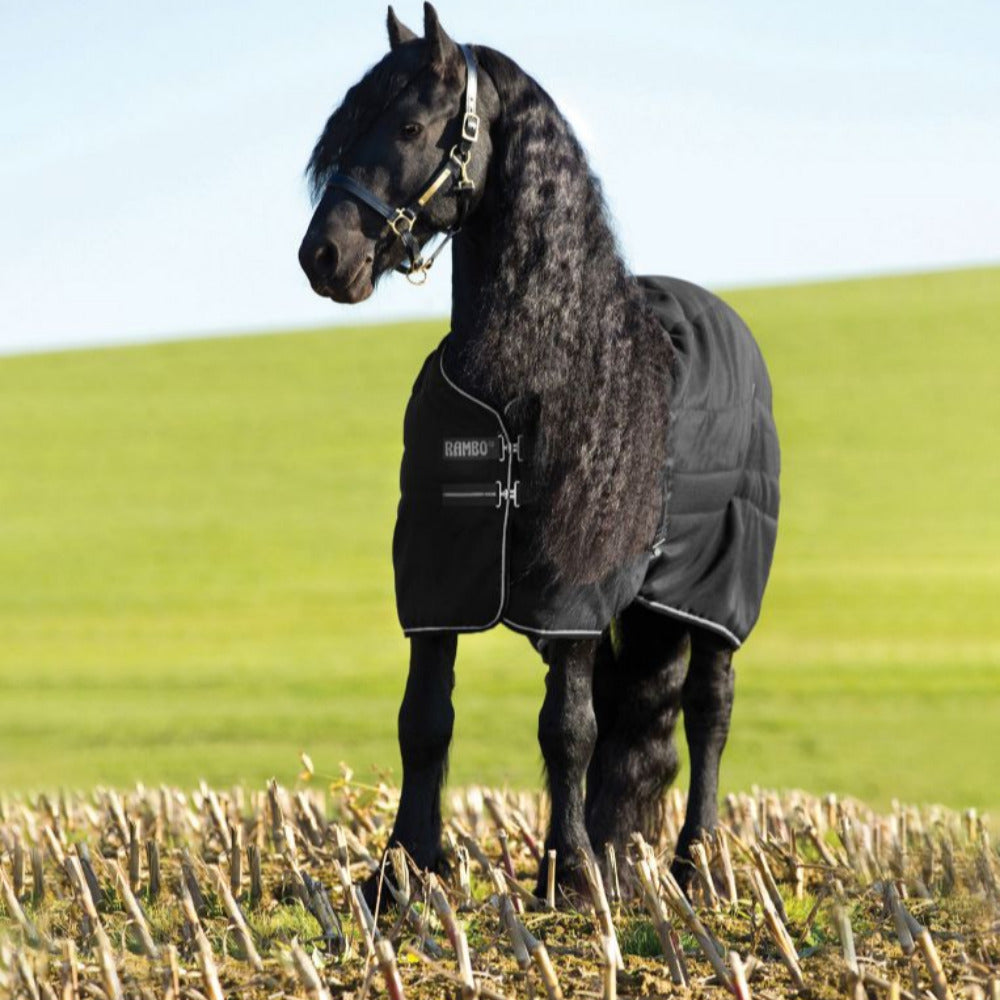 Horseware Rambo Stable 200g CLOSEOUT
