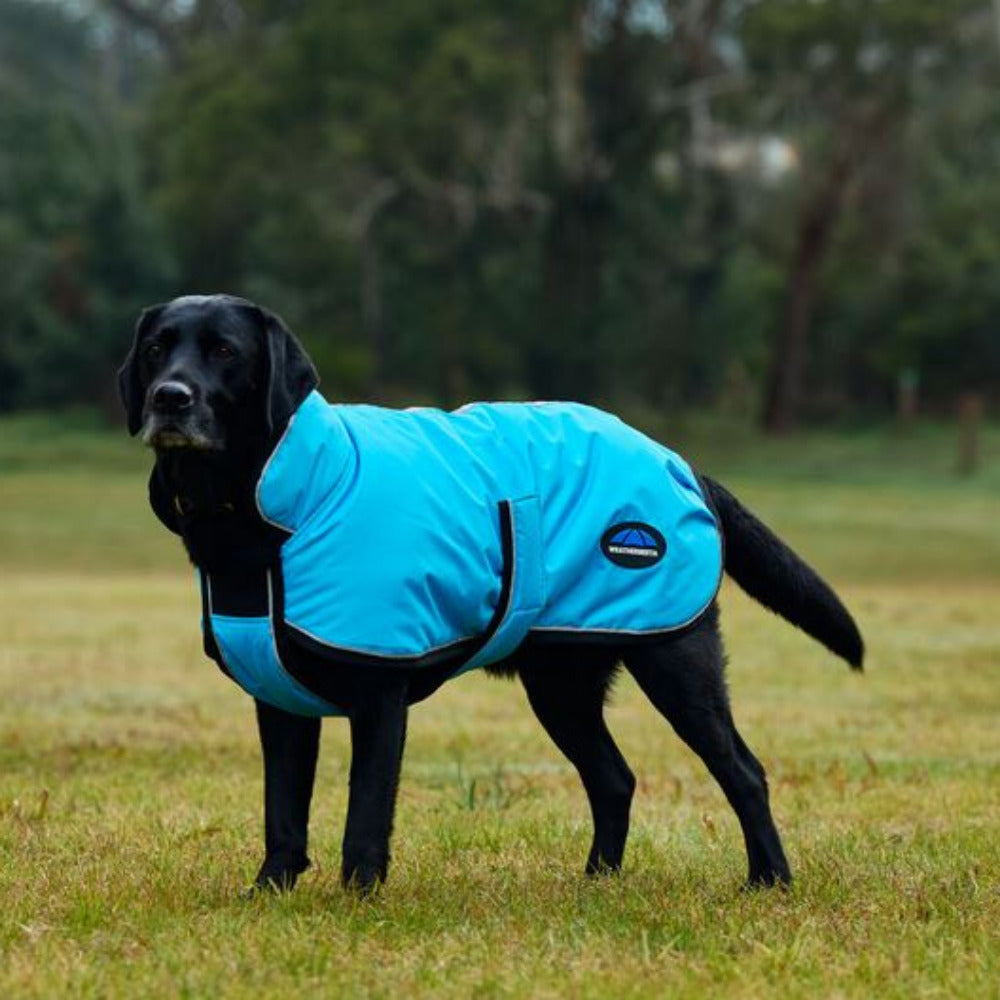 WeatherBeeta ComFiTec Reflective 300D Deluxe Showerproof Dog Coat