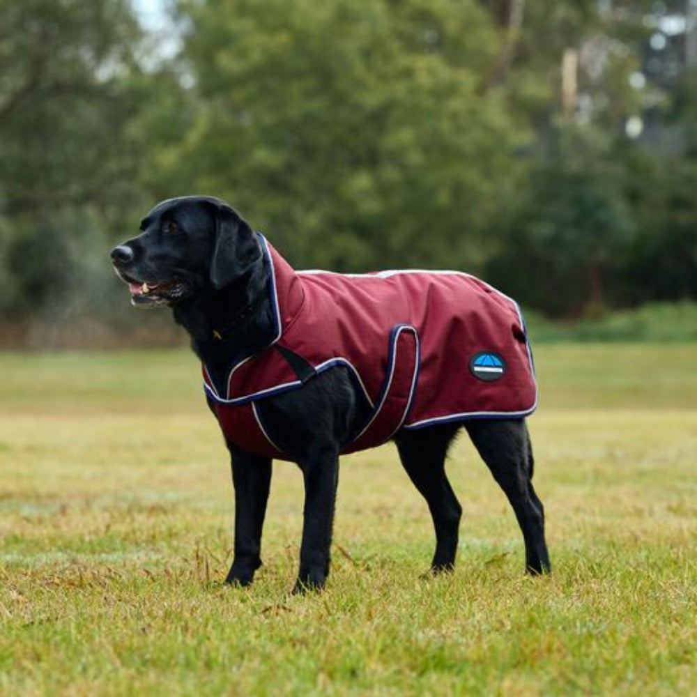 WeatherBeeta ComFiTec Premier Deluxe Waterproof Dog Coat