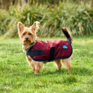 WeatherBeeta ComFiTec Classic Waterproof Dog Coat
