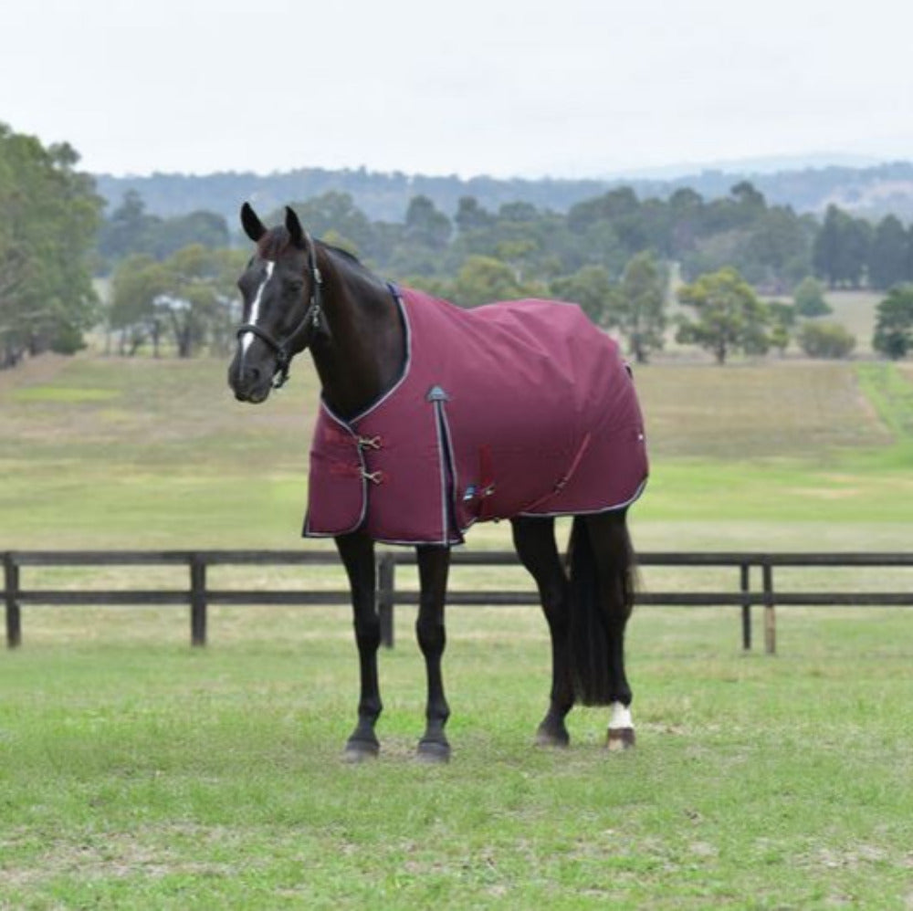 WeatherBeeta ComFiTec Essential Turnout Standard Neck 50G