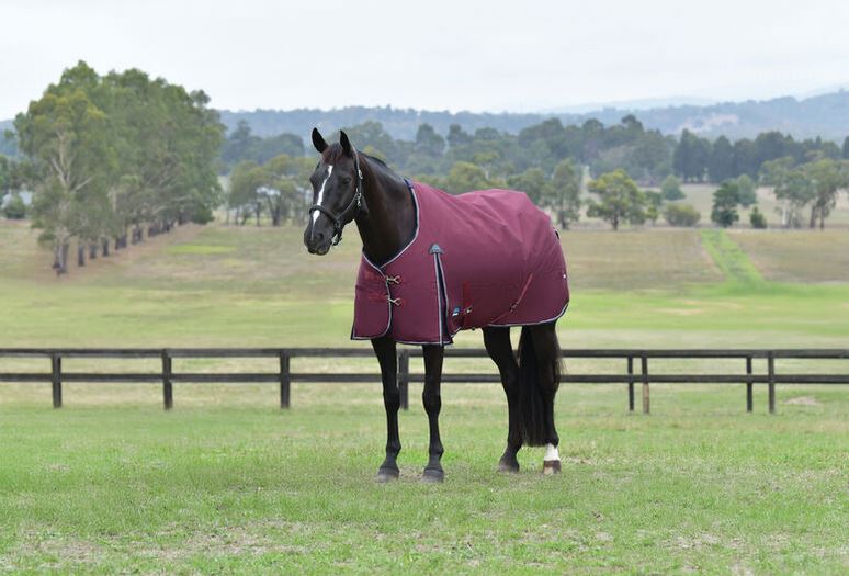WeatherBeeta ComFiTec Essential Turnout Standard Neck 360G