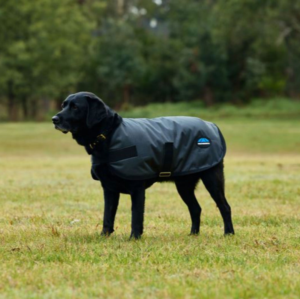 WeatherBeeta ComFiTec Classic Waterproof Dog Coat