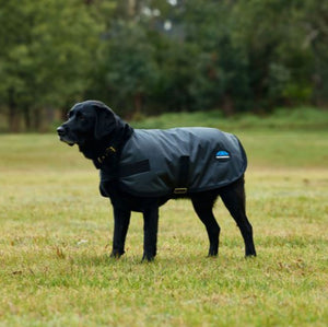 WeatherBeeta ComFiTec Classic Waterproof Dog Coat