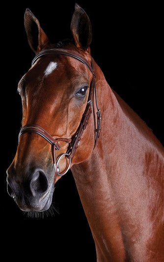 Collegiate Comfitec Fancy Stitch Bridle