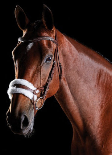 Collegiate Comfitec Sheepskin Bridle