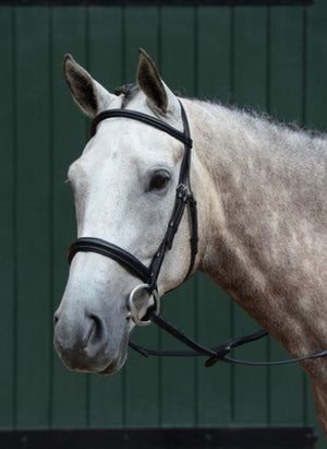 Collegiate Essental Padded Raised Cavasson Bridle