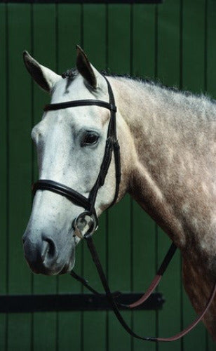 Collegiate Essental Padded Raised Cavasson Bridle