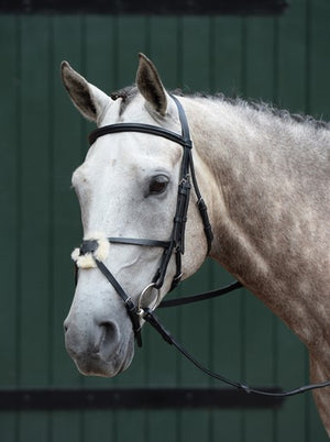 Collegiate Essential Padded Raised Figure 8 Bridle