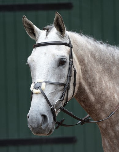 Collegiate Essential Padded Raised Figure 8 Bridle