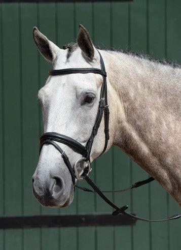 Collegiate Essential Padded Raised Flash Bridle