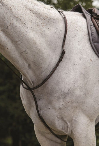 Collegiate Raised Standing Martingale II