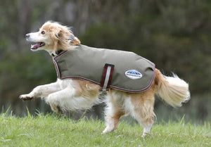 Weatherbeeta ComFiTec Premier Free Parka Dog Coat SOLIDS COLORS- CLOSEOUT