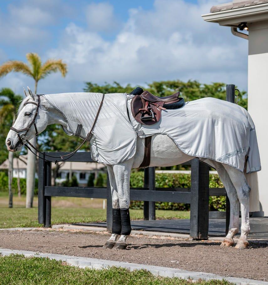 Amigo Flyrider - The Carousel Horse