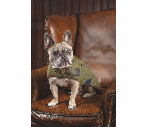 IN STORE Shires Digby & Fox Tweed Dog Coat SALE