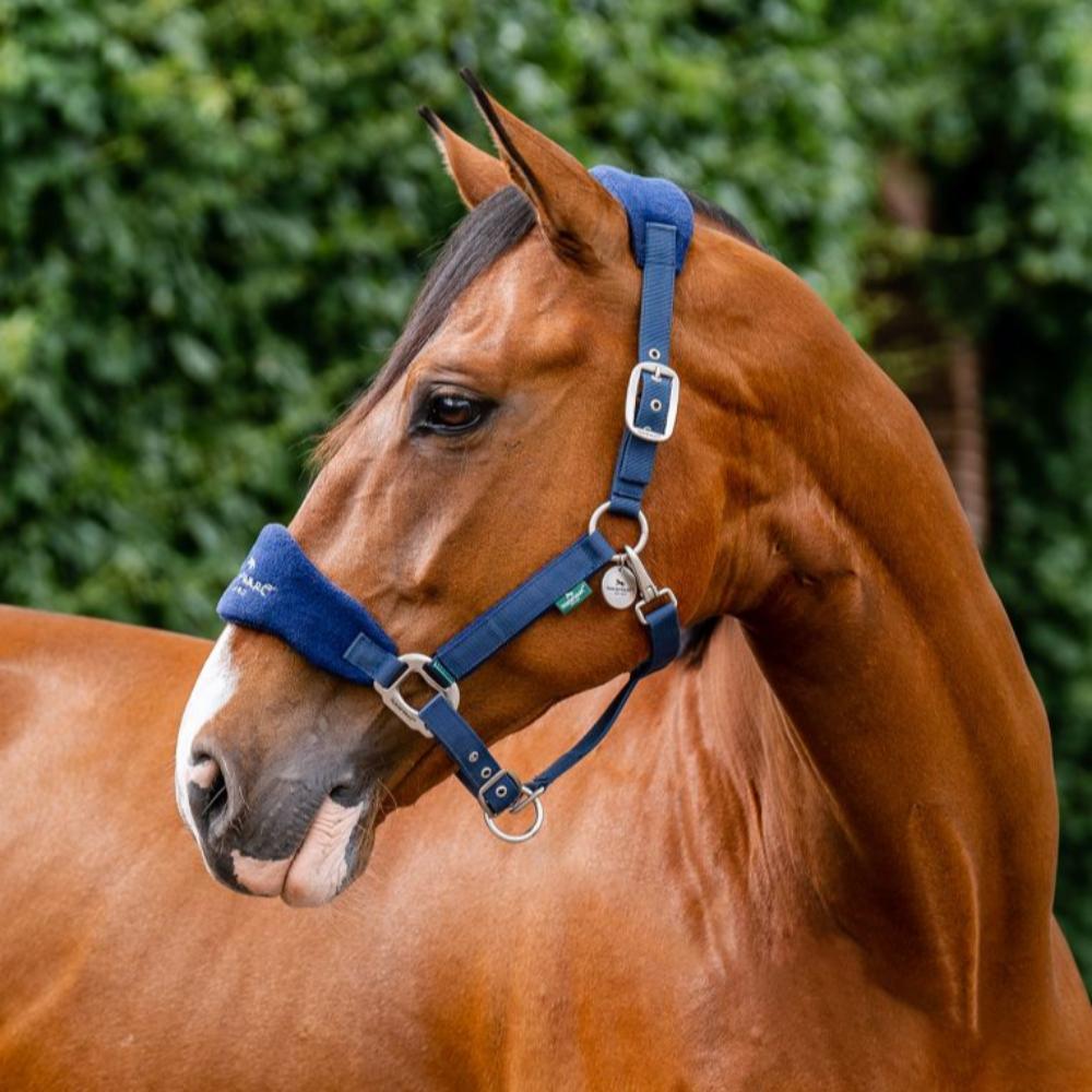 Horseware Signature  Grooming Headcollar