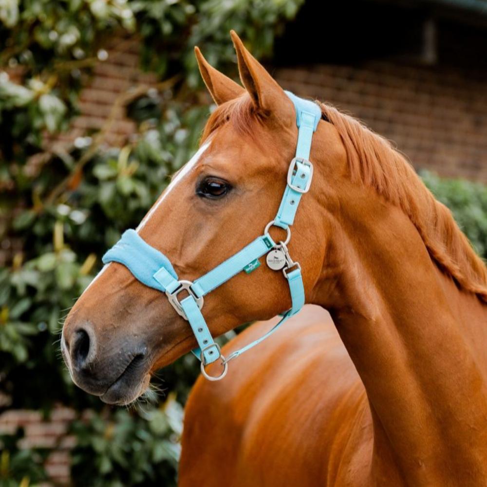 Horseware Signature  Grooming Headcollar