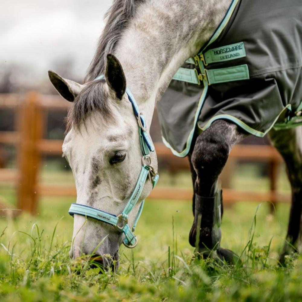 Horseware Field Safe Headcollar