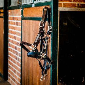 Horseware Signature Leather Headcollar