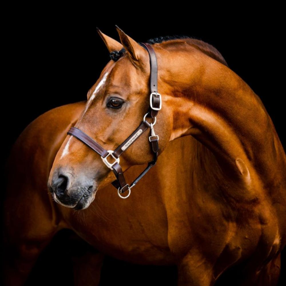Horseware Signature Leather Headcollar