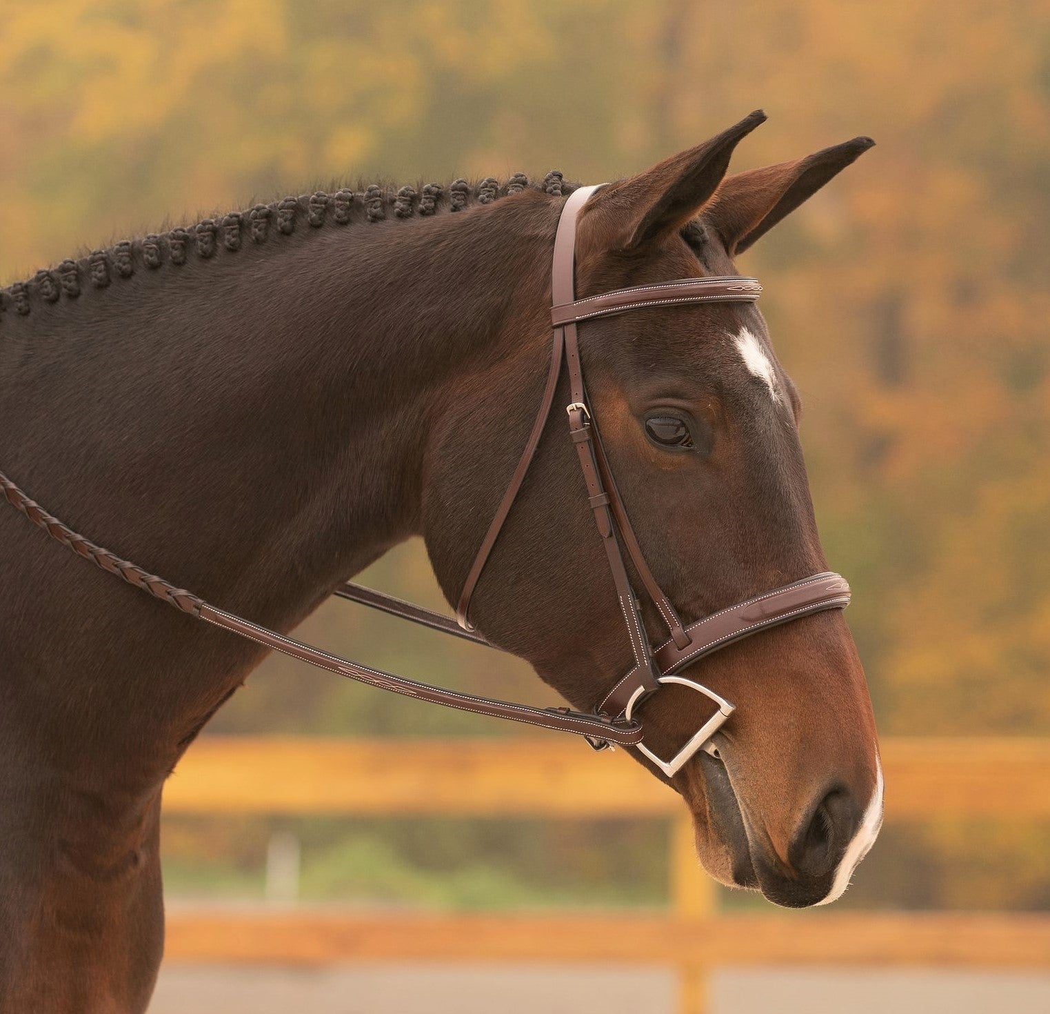 Red Barn Tryon Noseband