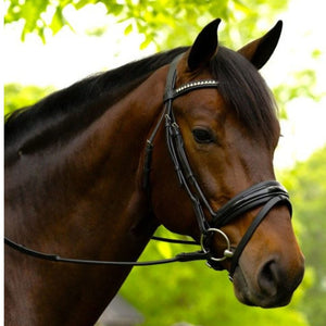 KL Select Flexion Bridle in Patent Leather