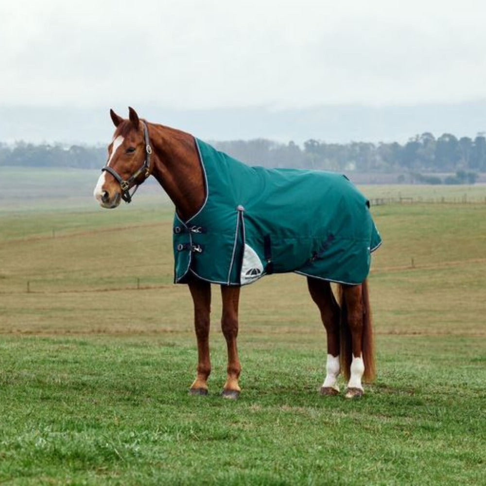 WeatherBeeta ComFiTec Plus Dynamic Turnout 220G