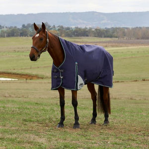 WeatherBeeta ComFiTec Plus Dynamic Turnout 220G