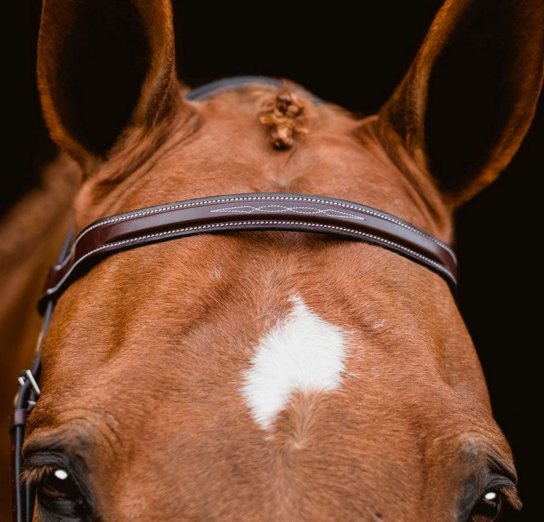 KL Select Red Barn Indio Hunter Bridle