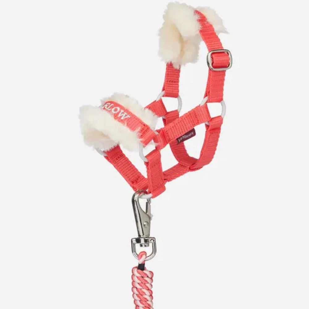 LeMieux Harlow Toy Pony Headcollar & Leadrope