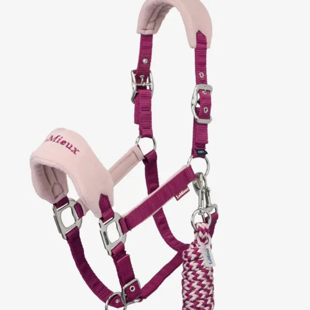Lemieux Vogue Headcollar & Leadrope - The Carousel Horse