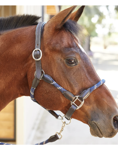 Kincade Leather Rope Halter