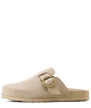 Ariat Womens Country Suede Mule - The Carousel Horse 