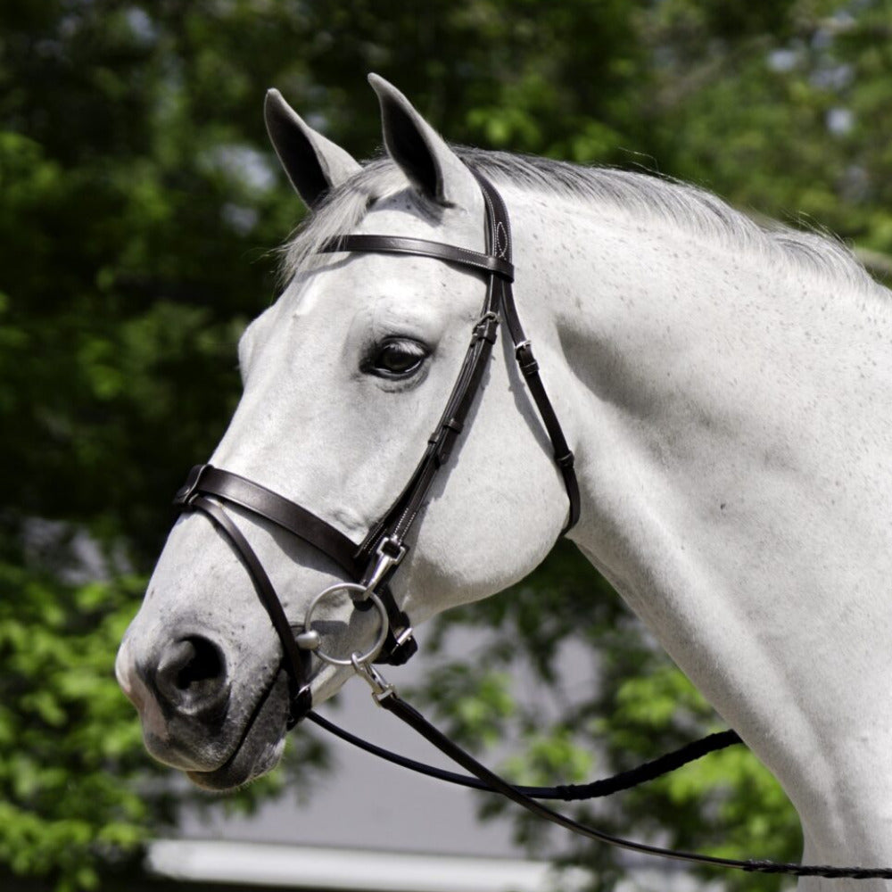KL Select Black Oak Maple Bridle
