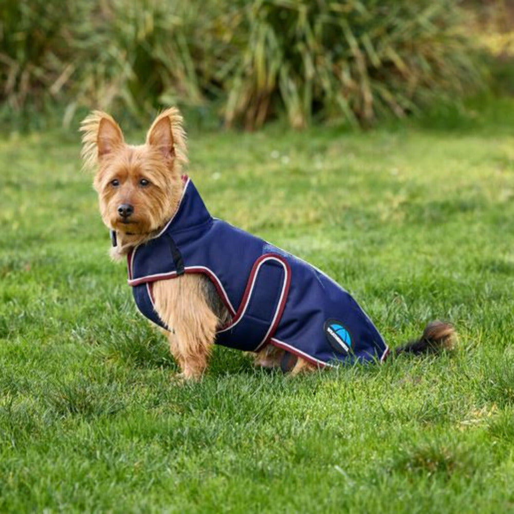 WeatherBeeta ComFiTec Premier Deluxe Waterproof Dog Coat