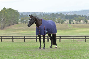 WeatherBeeta ComFiTec Essential Turnout Standard Neck 360G